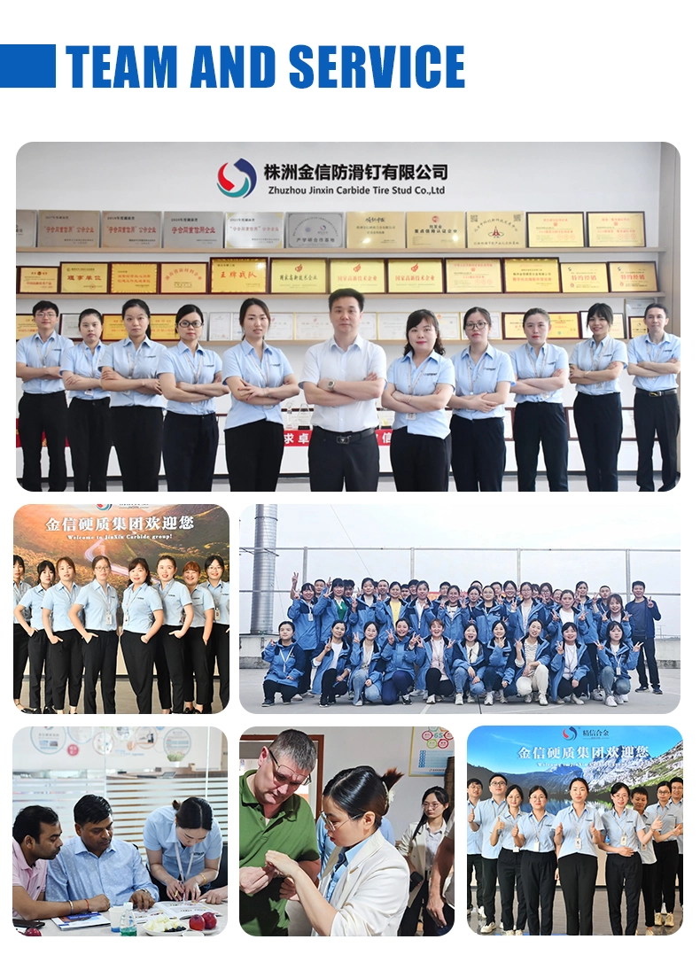 đội ngũ và dịch vụ